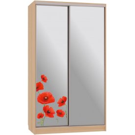 Шкаф-купе Рио 4-600