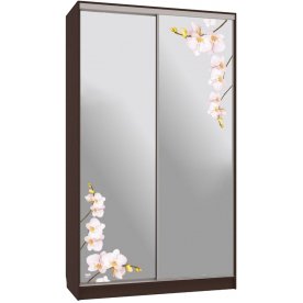 Шкаф-купе Рио 4-600