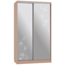 Шкаф-купе Рио 4-600