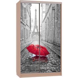 Шкаф-купе Рио 7-600 08