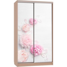 Шкаф-купе Рио 7-600 17