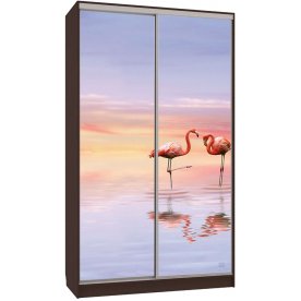 Шкаф-купе Рио 7-600 19