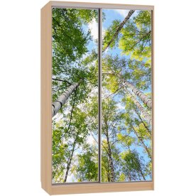 Шкаф-купе Рио 7-600 57