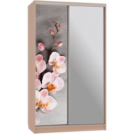 Шкаф-купе Рио 9-600 78