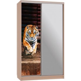 Шкаф-купе Рио 9-600 87