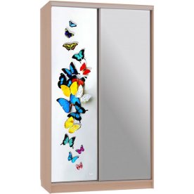 Шкаф-купе Рио 9-600 88