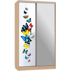 Шкаф-купе Рио 9-600 88