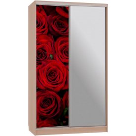 Шкаф-купе Рио 9-600 89