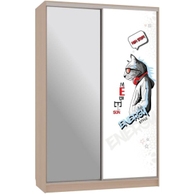 Шкаф-купе Рио 9-600