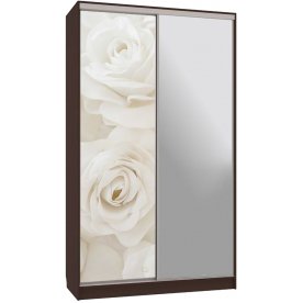 Шкаф-купе Рио 9-600