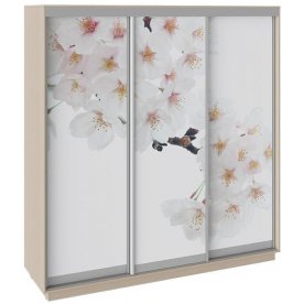 Шкаф-купе Румер 210х60х220