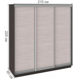 Шкаф-купе Румер 210х60х220