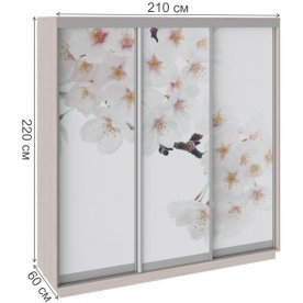 Шкаф-купе Румер 210х60х220