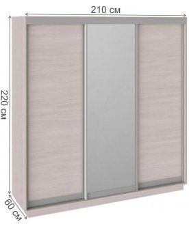Шкаф-купе Румер 210х60х220