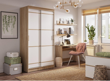 Шкаф-купе Сакура 1.14