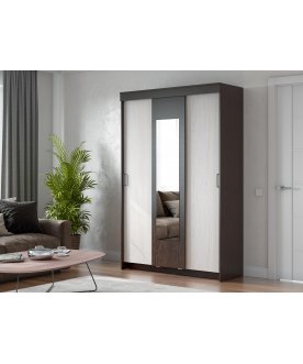 Шкаф-купе Шейла