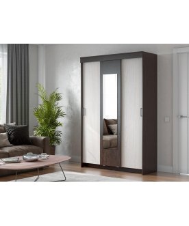 Шкаф-купе ШКП 2