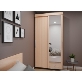 Шкаф-купе ШР-124.2