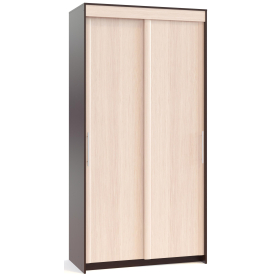 Шкаф-купе ШР-126.2