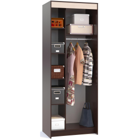 Шкаф-купе ШР-96.2