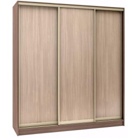 Шкаф-купе Стандарт 3 ШК.008.2200-08