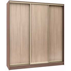 Шкаф-купе Стандарт 3 ШК.011.1600-08
