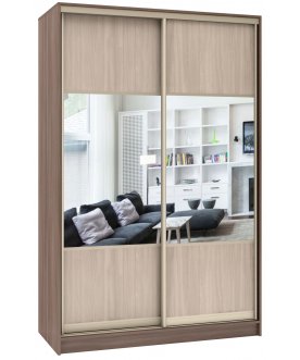 Шкаф-купе Стандарт Комбо 2.1 ШК.004.1400-19
