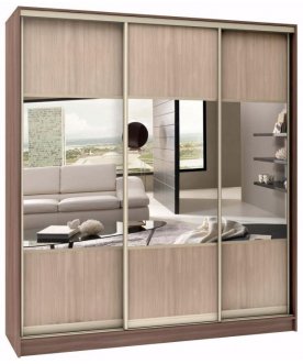 Шкаф-купе Стандарт Комбо 3.1 ШК.008.1600-19
