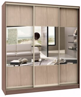 Шкаф-купе Стандарт Комбо 3.1 ШК.011.1600-19