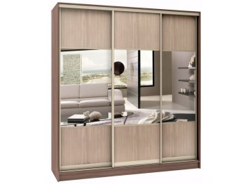 Шкаф-купе Стандарт Комбо 2.1 ШК.004.1200-19