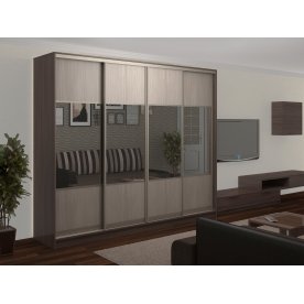 Шкаф-купе Стандарт Комбо 4.1 ШК.013.2400-19