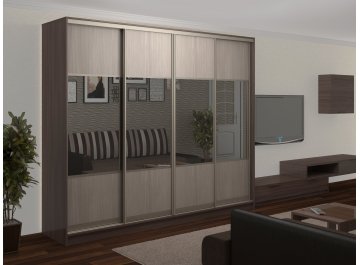 Шкаф-купе Стандарт Комбо 4.1 ШК.015.2700-19