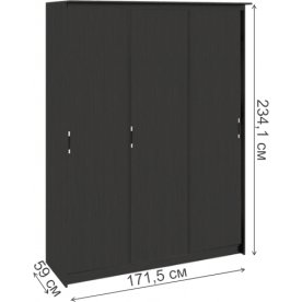 Шкаф-купе Стэн Лайт 140.10.001