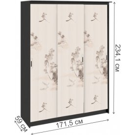 Шкаф-купе Стэн Лайт 140.10.003