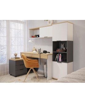 Книжный шкаф Скайлайт СЛ-4К блэквуд ячменный / графит / белый / меренга