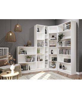 Стеллаж Вилли комплектация 1