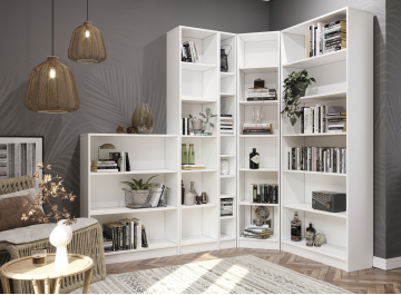 Стеллаж Вилли СУ