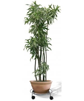 Цветочница Пальмина 3 черная