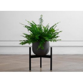 Цветочница Trinity 25