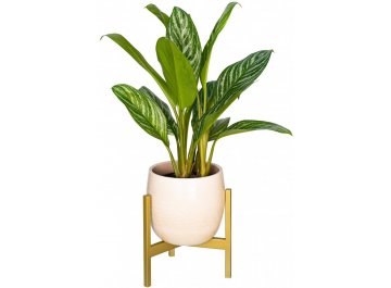 Цветочница Агния 10