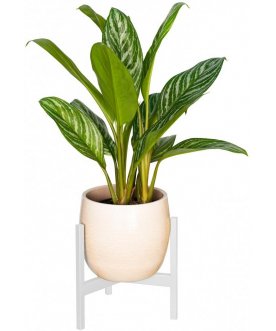 Цветочница Trinity 25 черная