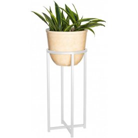 Цветочница Лидия 1