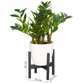 Цветочница Верона 10