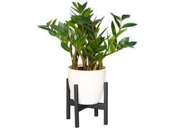 Цветочница Верона 10