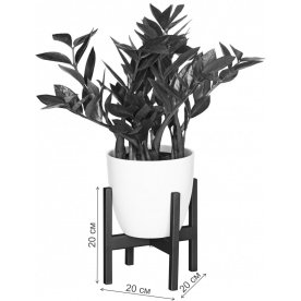 Цветочница Верона 10