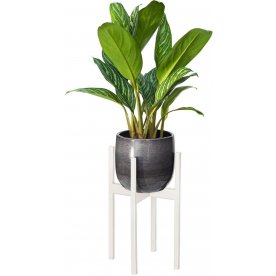 Цветочница Верона 20