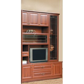 ТВ-модуль Яна 145