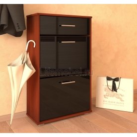 Обувница Мебелеф 12