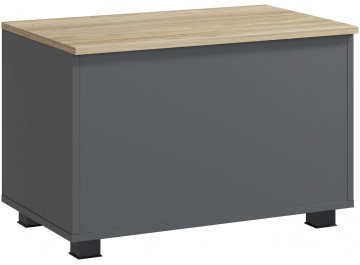 Сундук Скайлайт СЛ-60