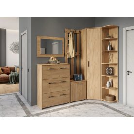 Модульная прихожая Агата АТ-012 комплектация 8